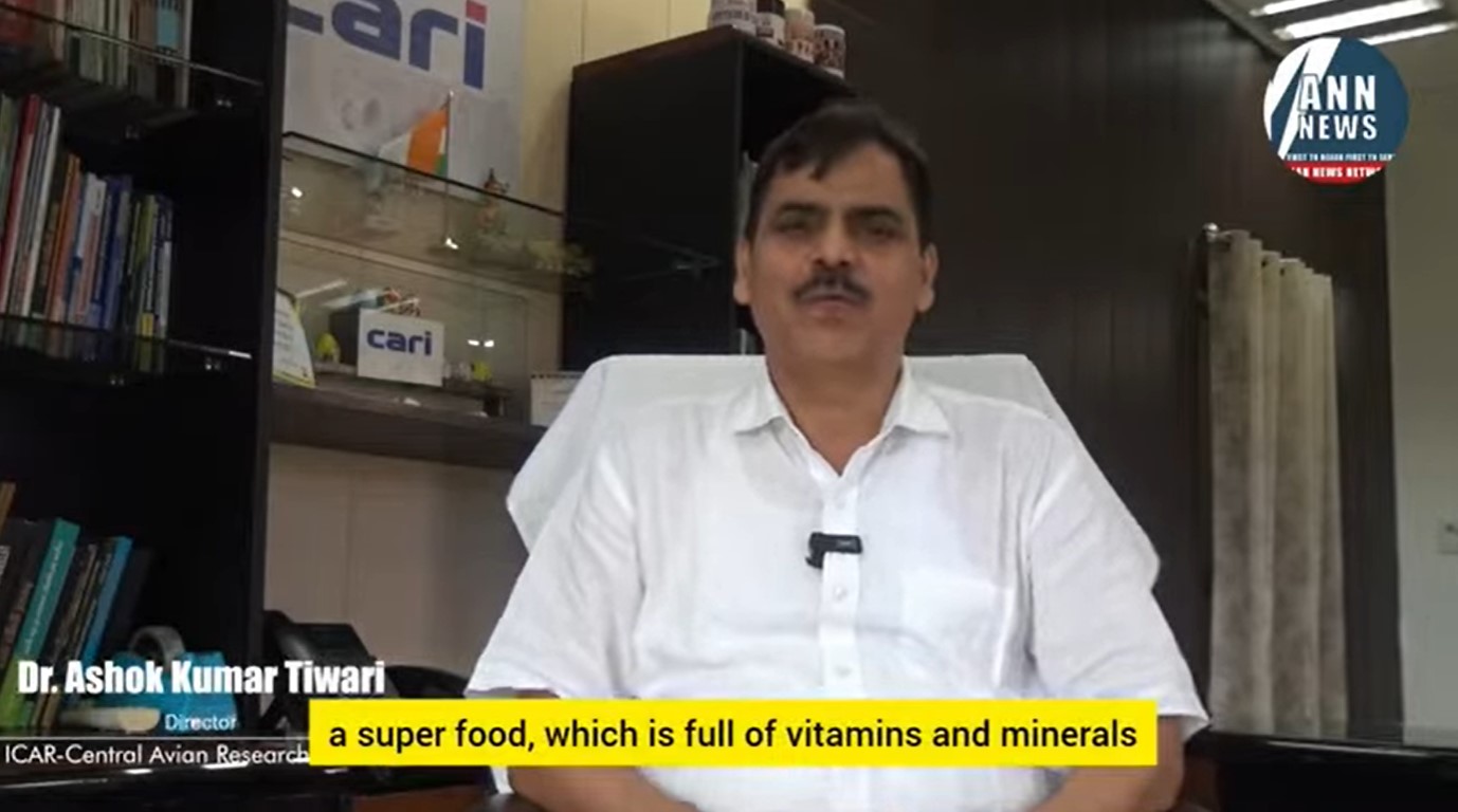 EGG IS A VEGITERIAN, A report by Dr. Ashok K Tiwari, Director, CARI, Izatnagar