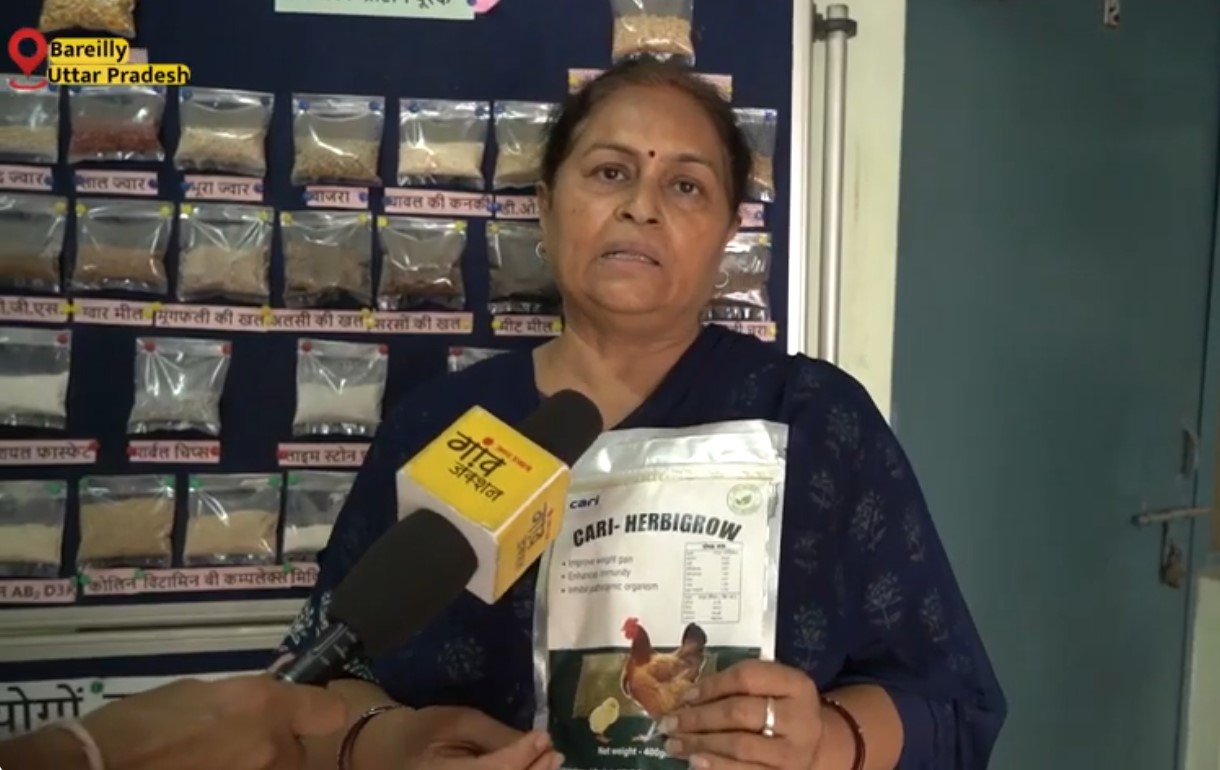 इस आहार से 6 फीसदी अधिक होगा मुर्गियों का वजन - CARI, Izatnagar